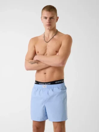 Boxer