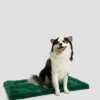 Tapis pour animaux en fausse fourrure Tapis pour animaux en fausse fourrure