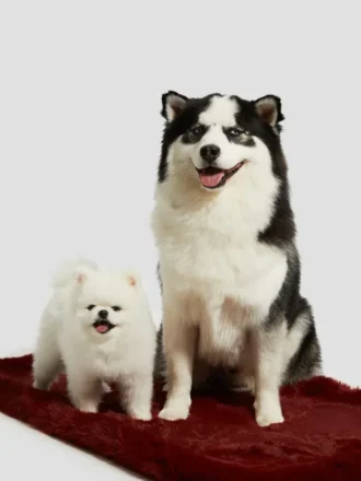 Tapis pour animaux en fausse fourrure